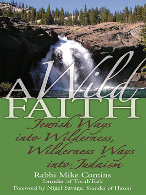 cover image of A Wild Faith